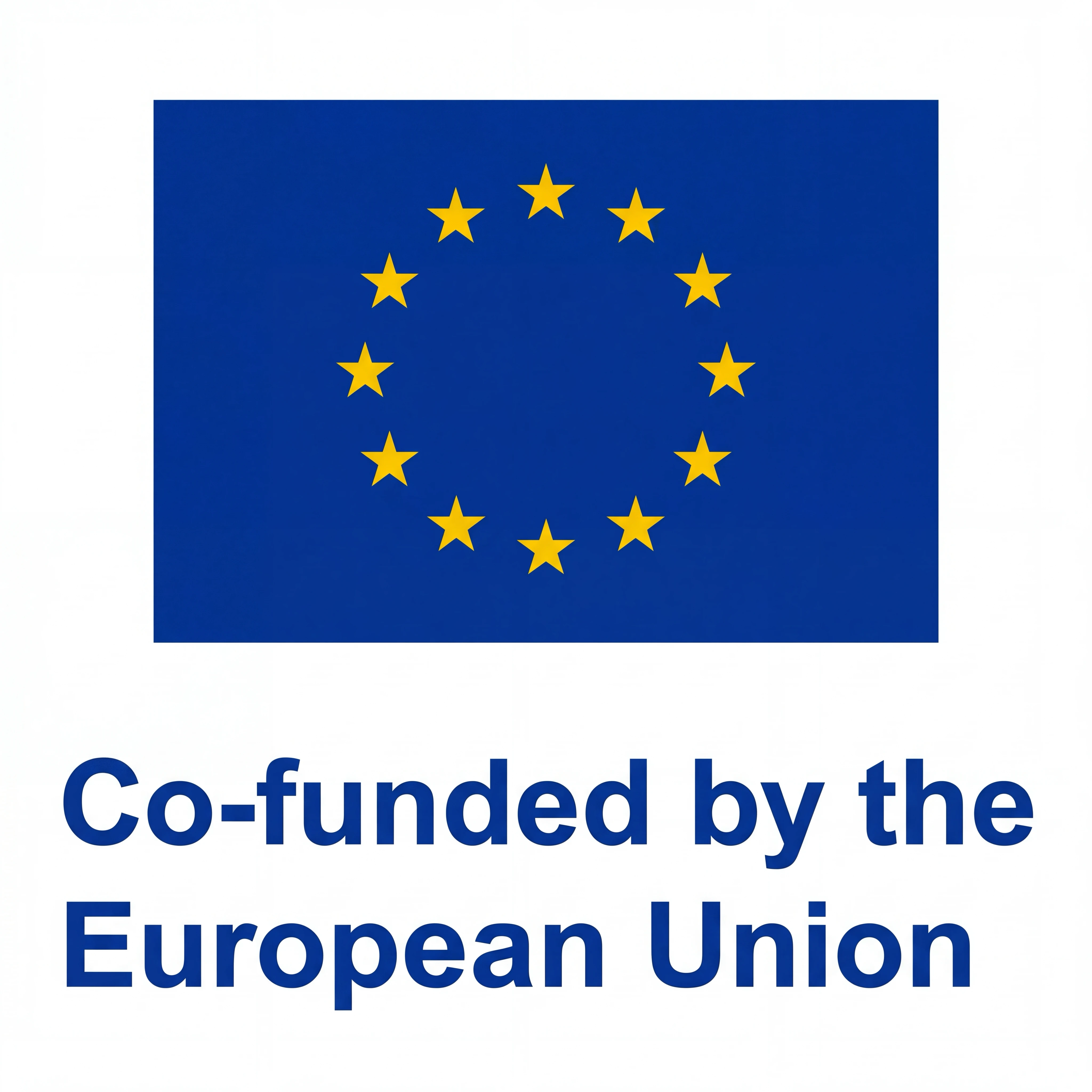Co-funded by the European Union